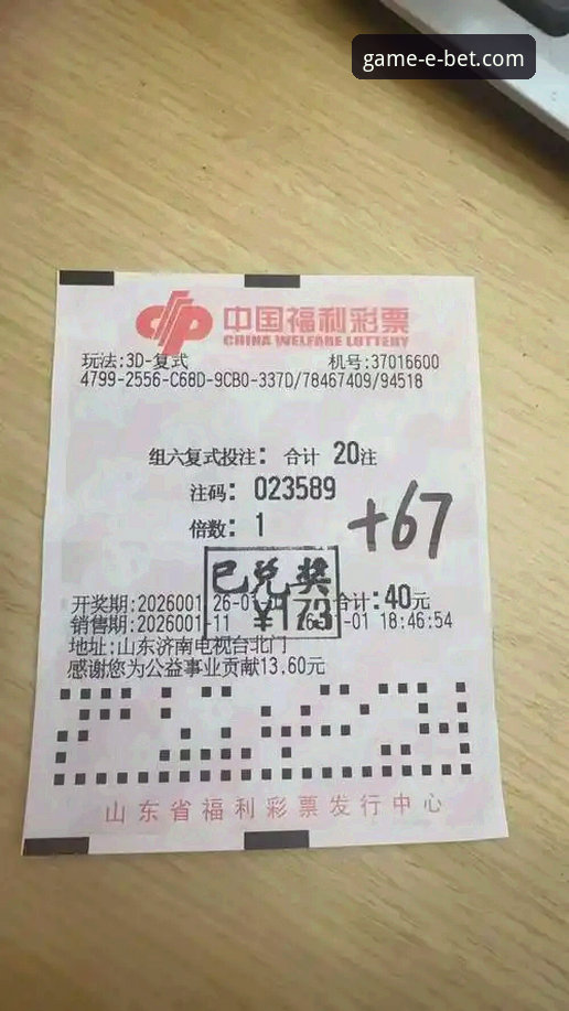 手机投注平台vs传统PC端：哪个更适合体育博彩爱好者？